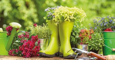 West Pennard Gardening Club