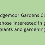 Sedgemoor Gardens Club